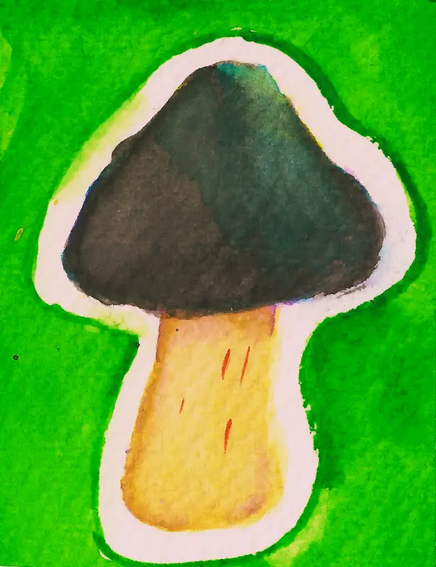 Black Amanita Mushroom aceo art card