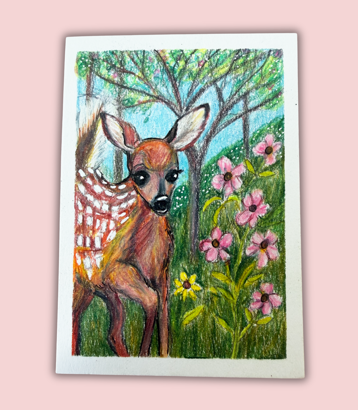 Spring Fawn ACEO - Colored Pencil & Ink on Illustration Board aceo art card
