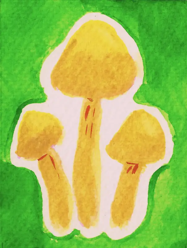 Bell-shaped Panaeolus Mushroom aceo art card