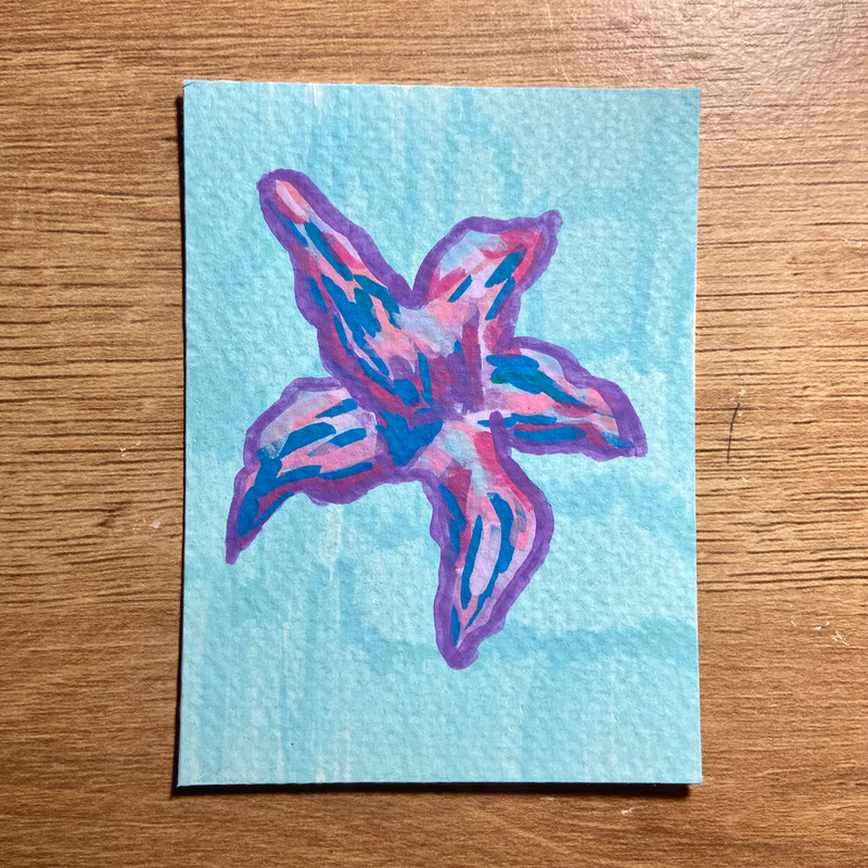 Colorful sea star aceo art card