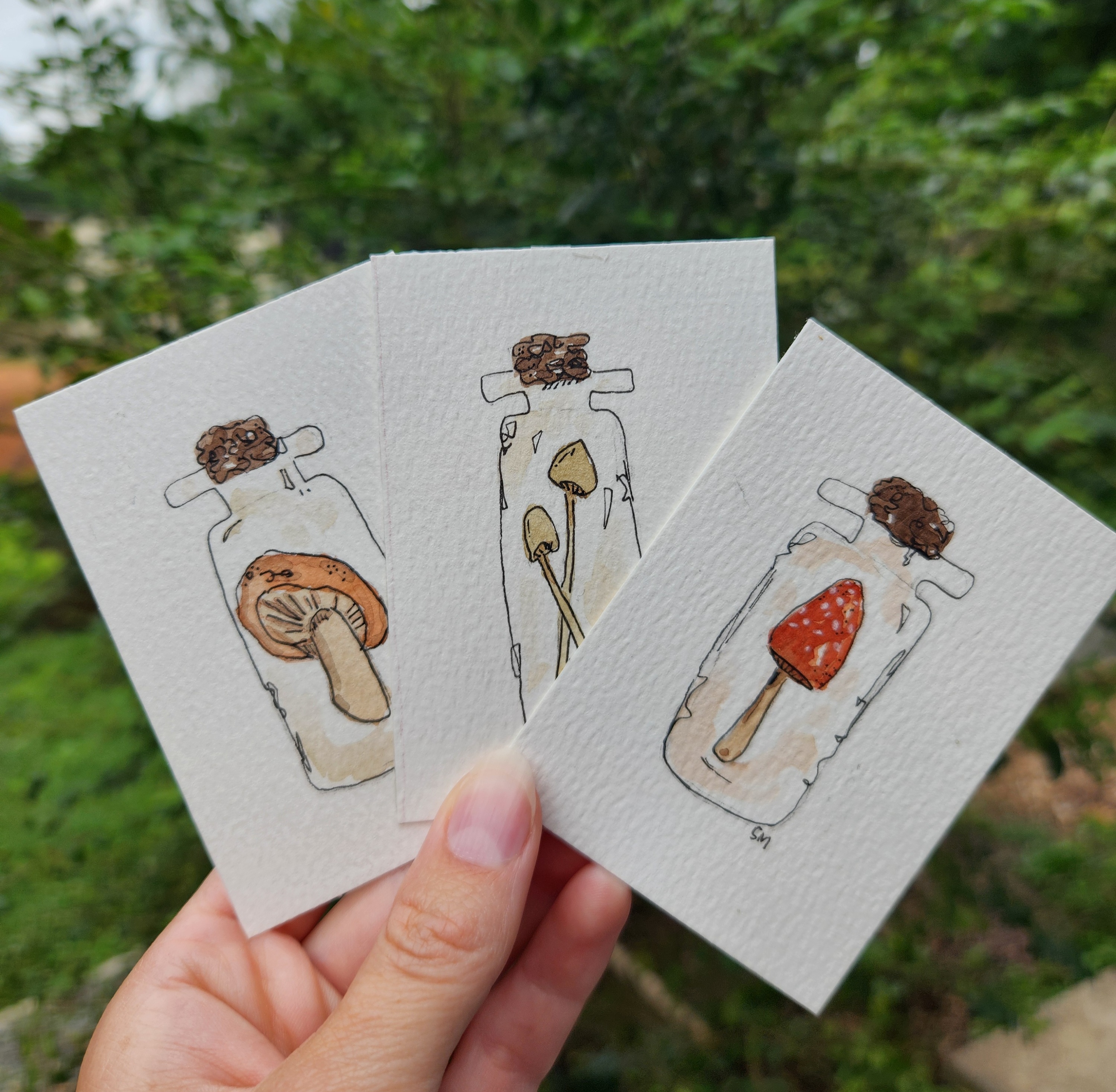Bottled Mushrooms aceo art card