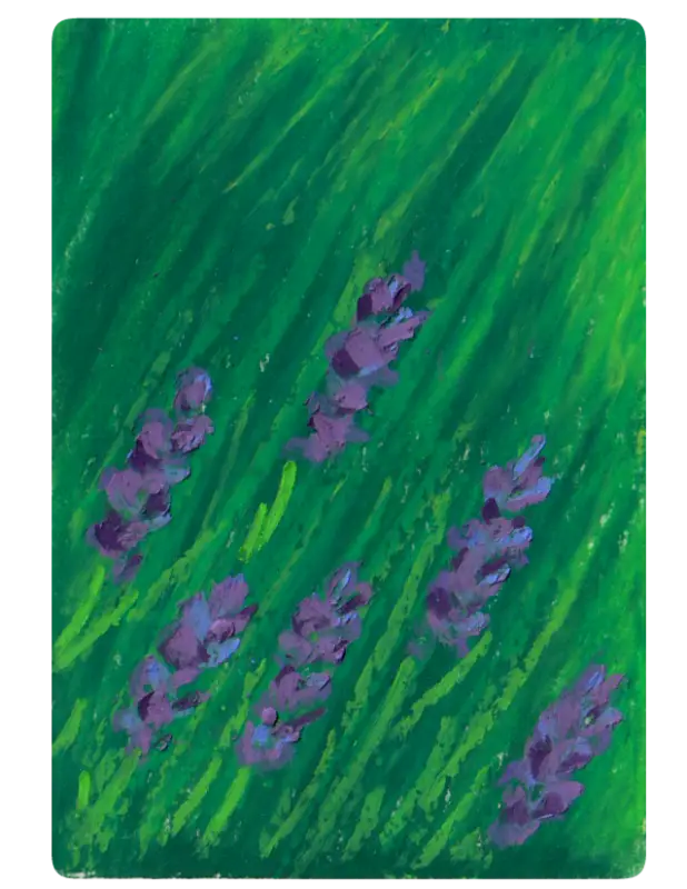 Lavender aceo art card
