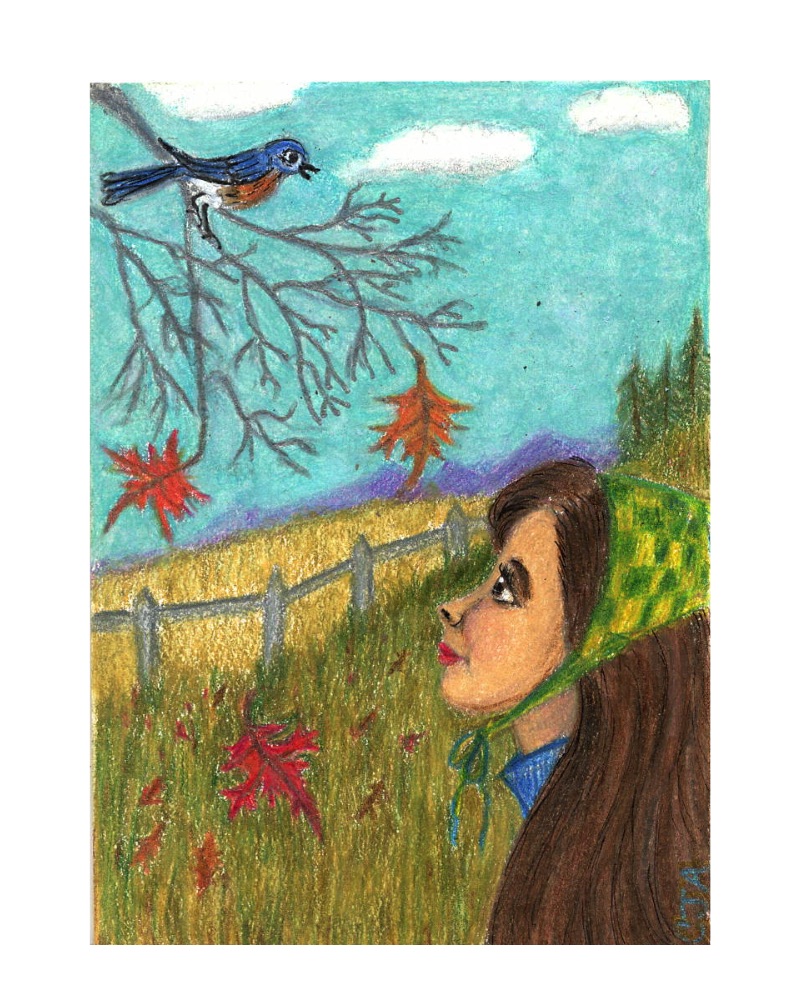 Late Fall Bluebird: Colored Pencil & Ink ACEO On Illustration Board aceo art card