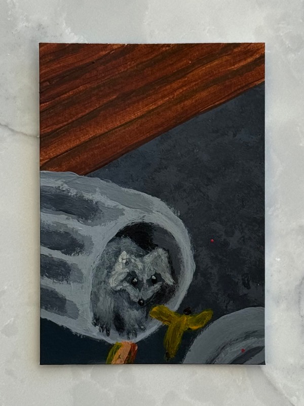 Trash Panda (Raccoon in a trash can) aceo art card