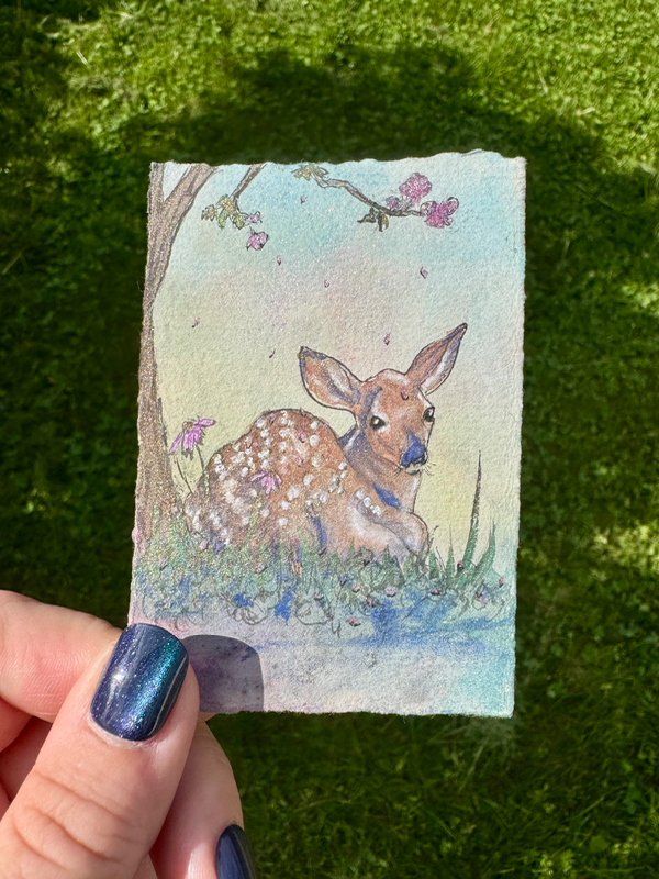 Spring Fawn aceo art card