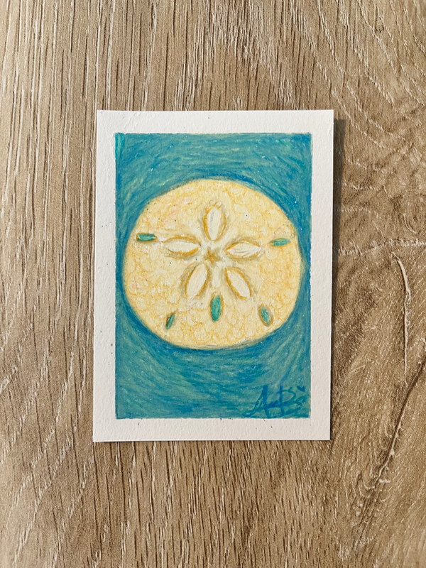 Sand Dollar aceo art card