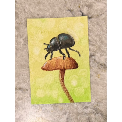Bokeh beetle aceo art card thumbnail 2