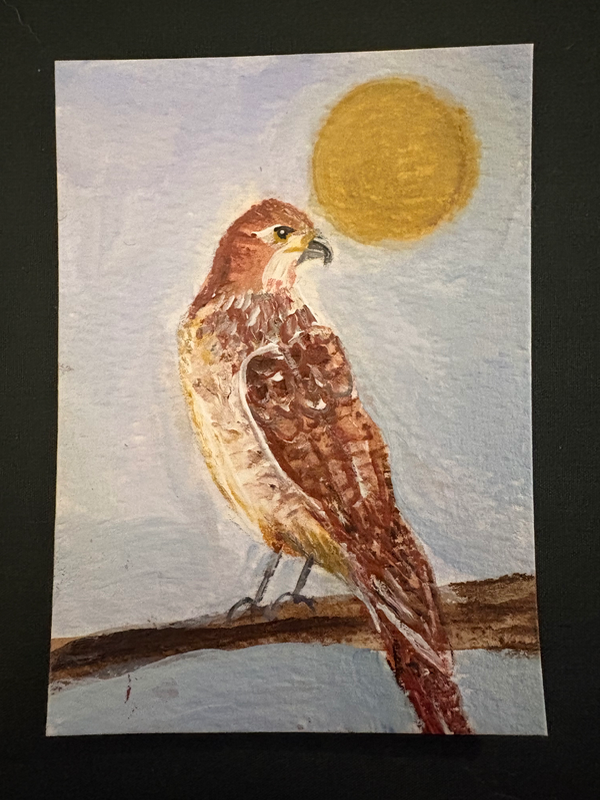 Hawk aceo art card