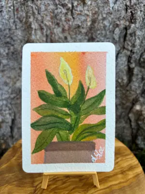 Peace Lily : Series III aceo art card thumbnail 2