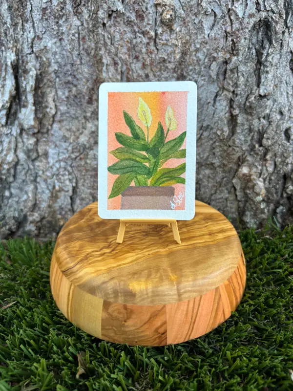 Peace Lily : Series III aceo art card
