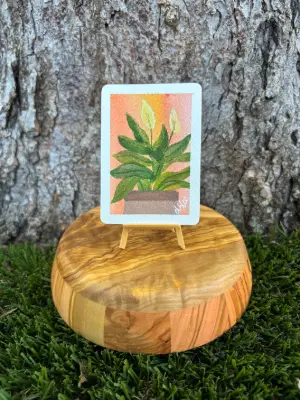 Peace Lily : Series III aceo art card thumbnail 1