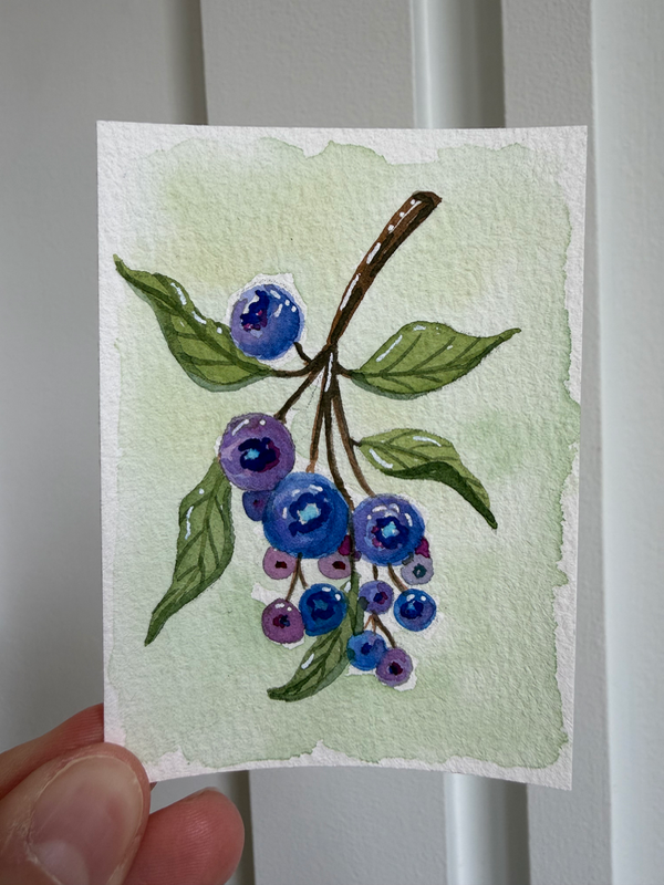 Blueberry Branch aceo art card