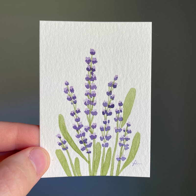 Lavender Bunch aceo art card