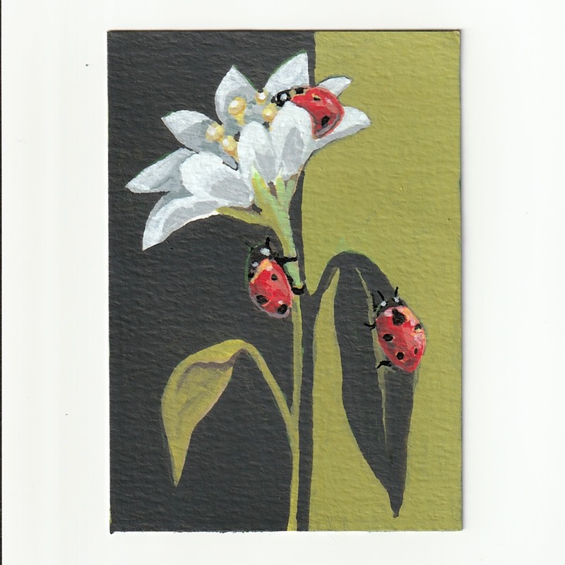 Ladybug Lilly aceo art card