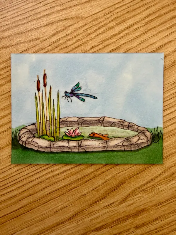 Dragonfly's Koi aceo art card