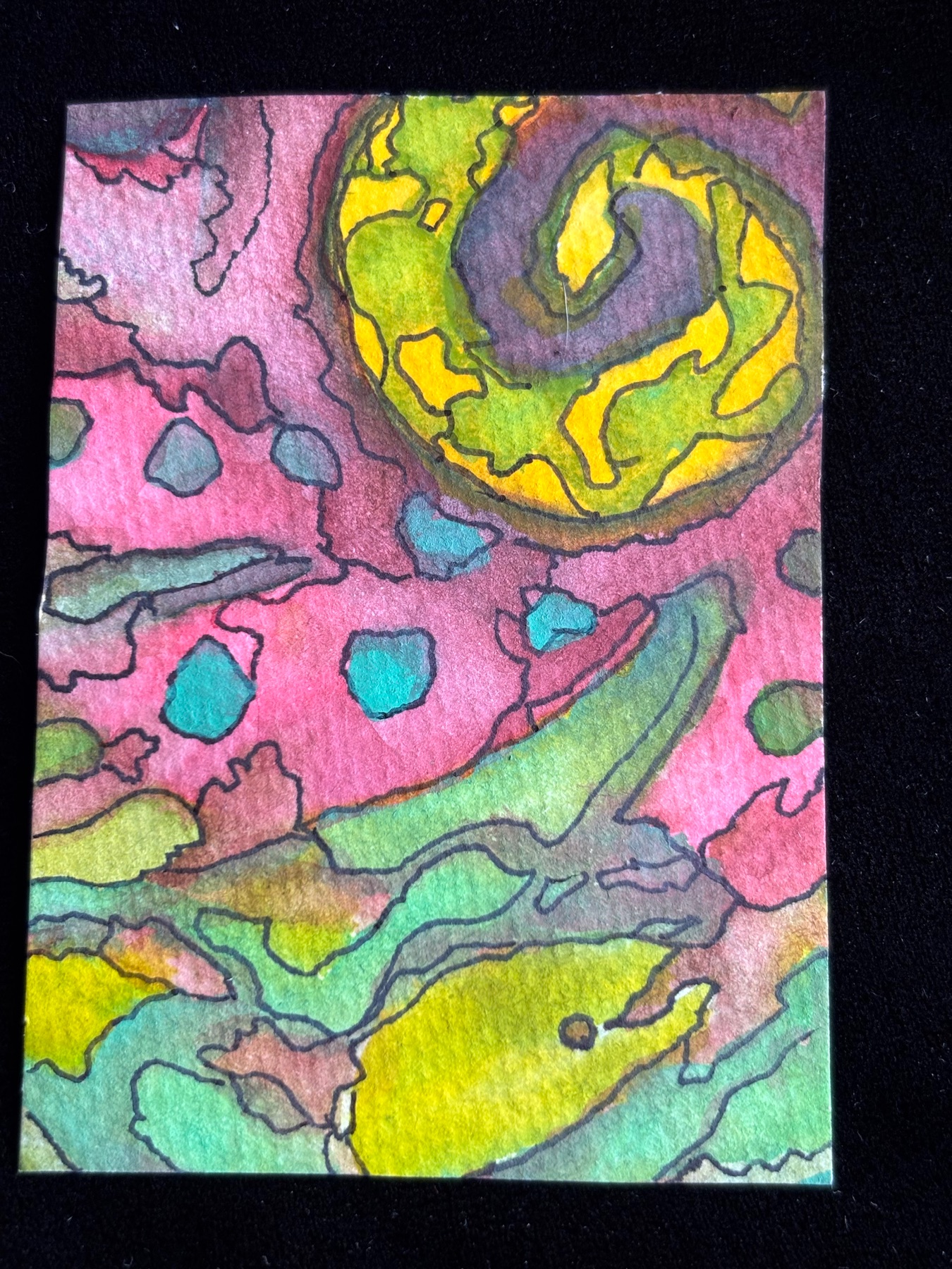 Salamander aceo art card