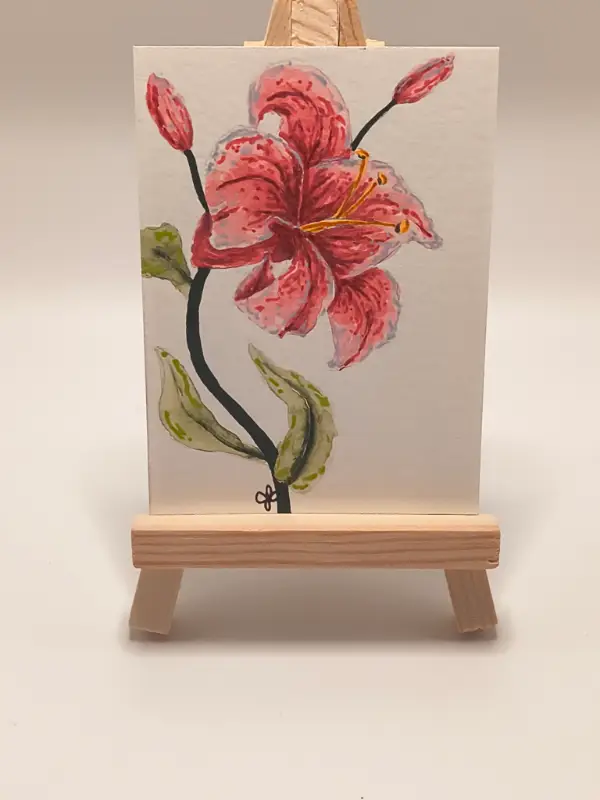 Pink Lily 003 aceo art card