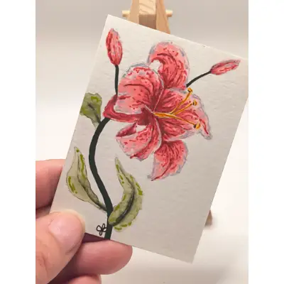 Pink Lily 003 aceo art card thumbnail 2