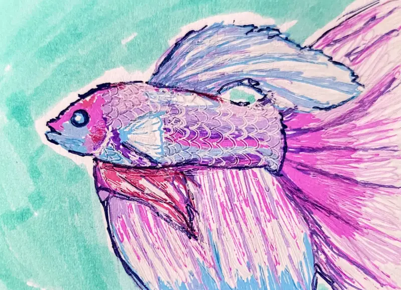 Pretty Beta Fish aceo art card