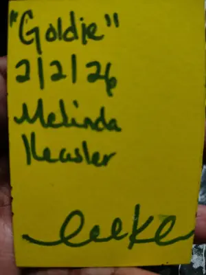 Goldie ACEO original aceo art card thumbnail 2