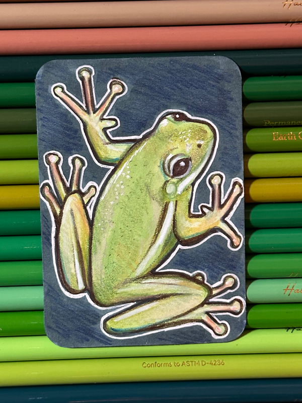 Green Frog aceo art card