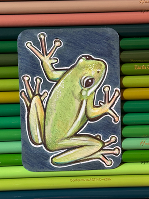 Green Frog aceo art card thumbnail 1