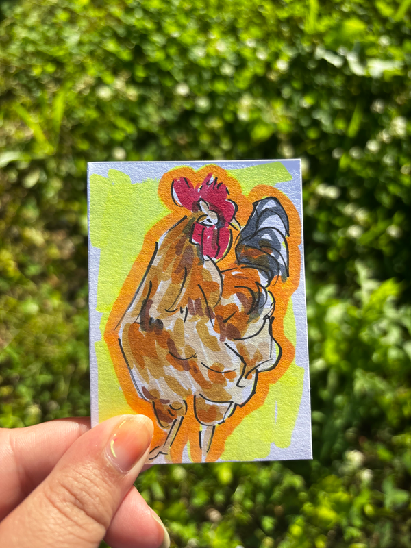 “Bright Chicken” Animal aceo art card