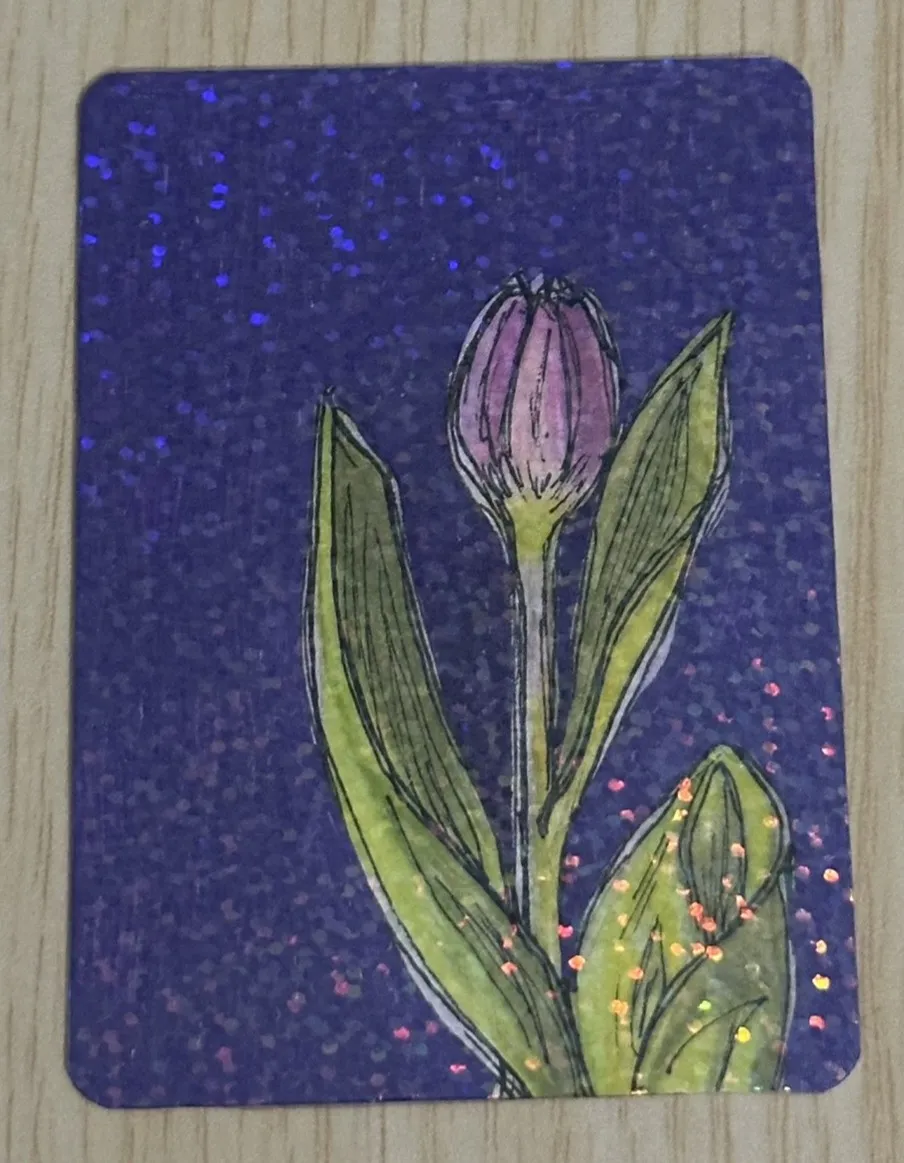 Out-Lined Out-Sider aceo art card