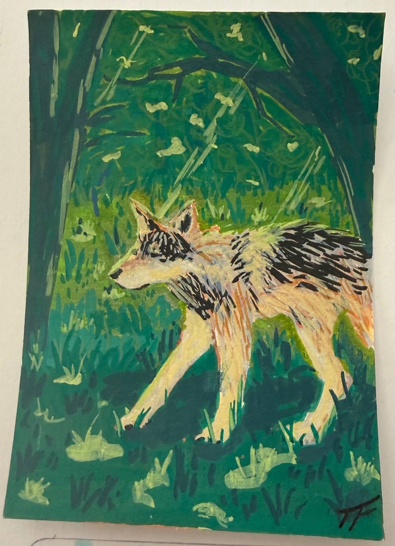Wolf in Forest aceo art card