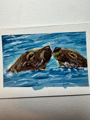 Sea lion seal acrylic ocean seaside painting Ashley Leary marine life coastal beach aquatic aceo art card thumbnail 2