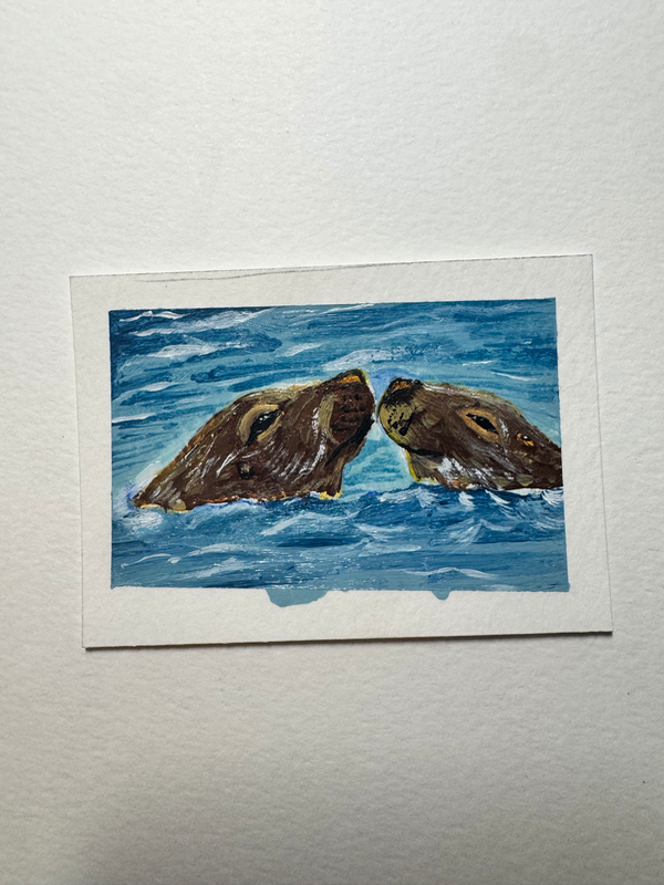 Sea lion seal acrylic ocean seaside painting Ashley Leary marine life coastal beach aquatic aceo art card