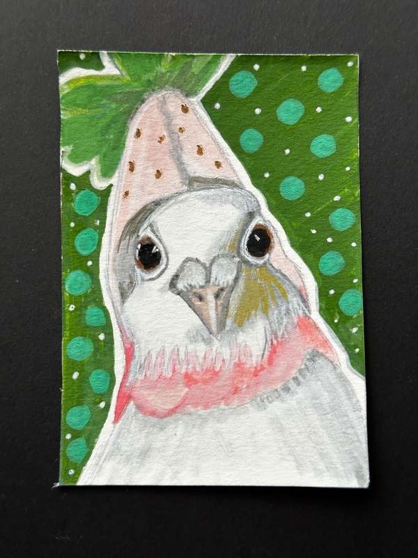Strawberry Dove aceo art card