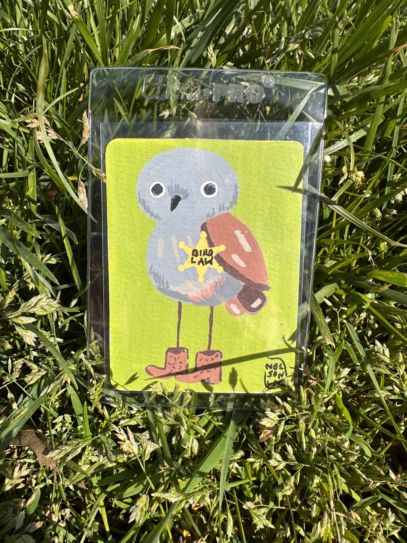 Bird Law aceo art card