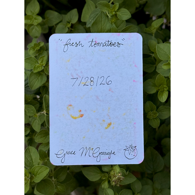 Fresh Tomatoes aceo art card thumbnail 2