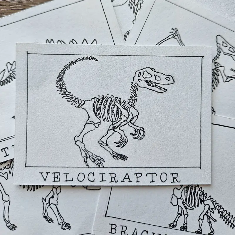 Ink Pocket Paleontology #6 aceo art card