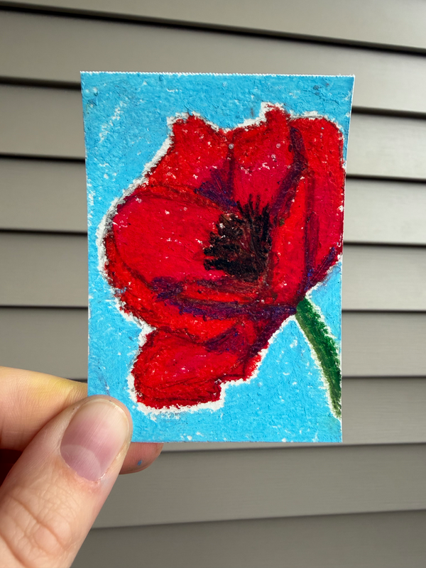 Red Poppy aceo art card