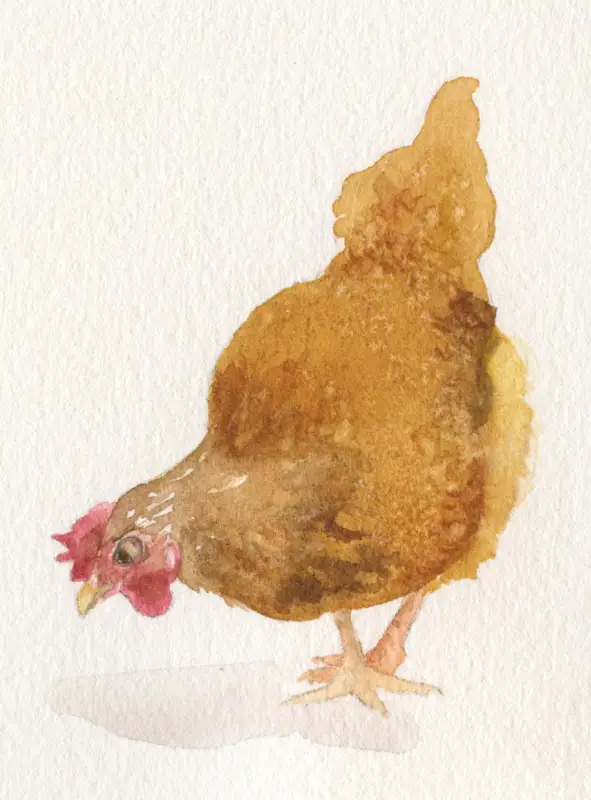 What's That? aceo art card