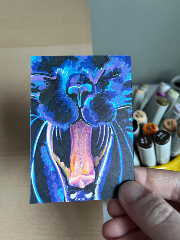 Turning on the Cute (Little Black Cat Series) aceo art card