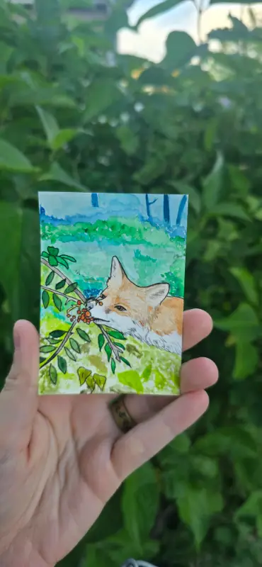 Fox in the Glen aceo art card