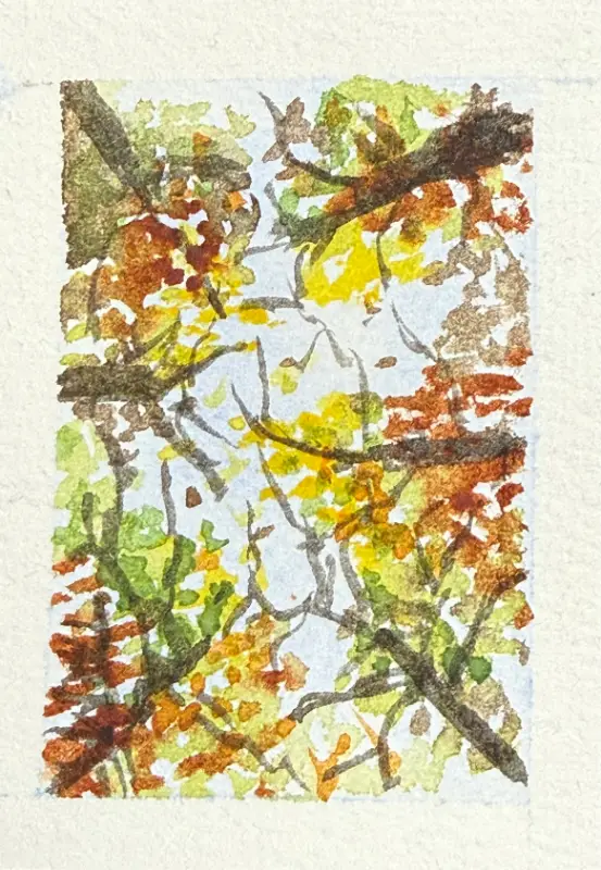 Looking Up aceo art card