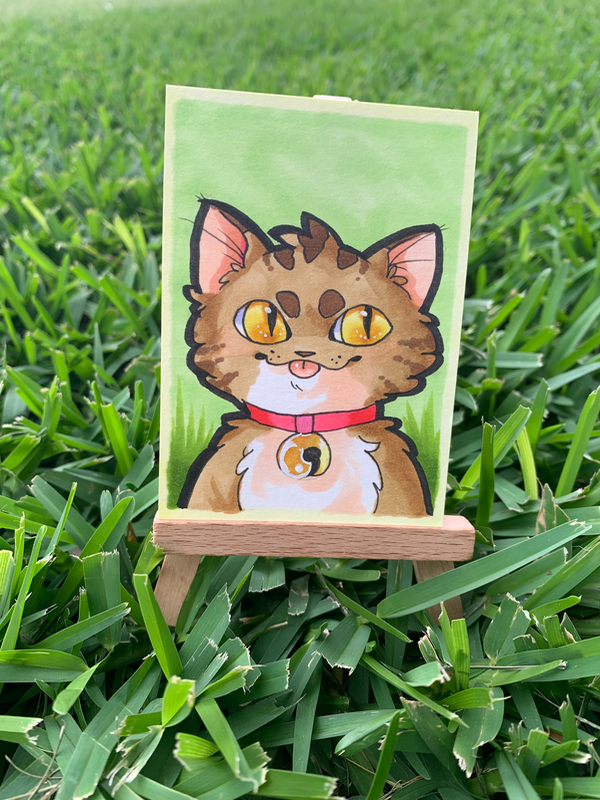 Amber Eyes Cat aceo art card