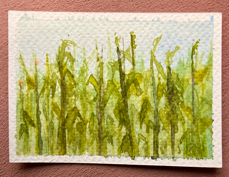 Midwest Corn aceo art card