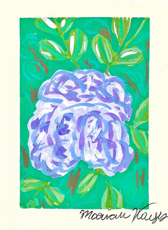 Mountain Laurel aceo art card