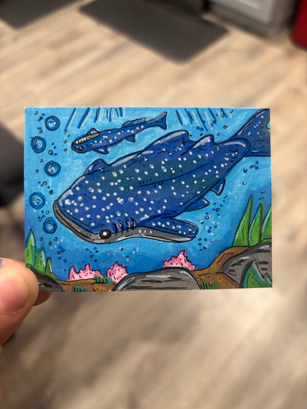 Whale Shark Illustration aceo art card