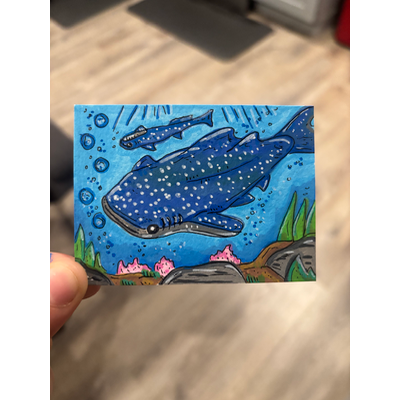 Whale Shark Illustration aceo art card thumbnail 1