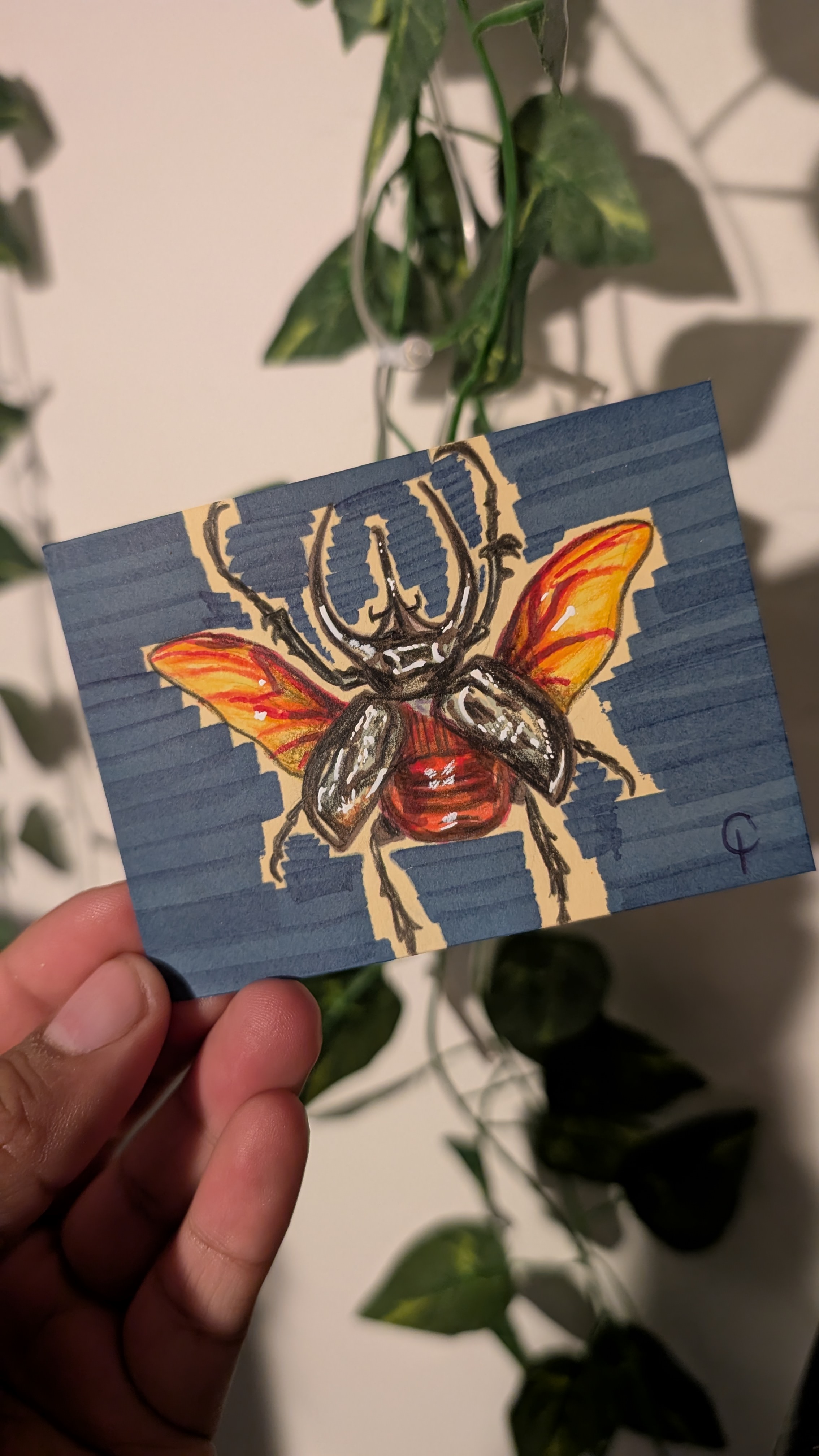 Rhinoceros Beetle taking flight aceo art card