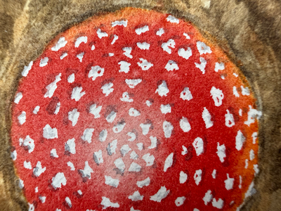 Mushroom in Leaves aceo art card thumbnail 2