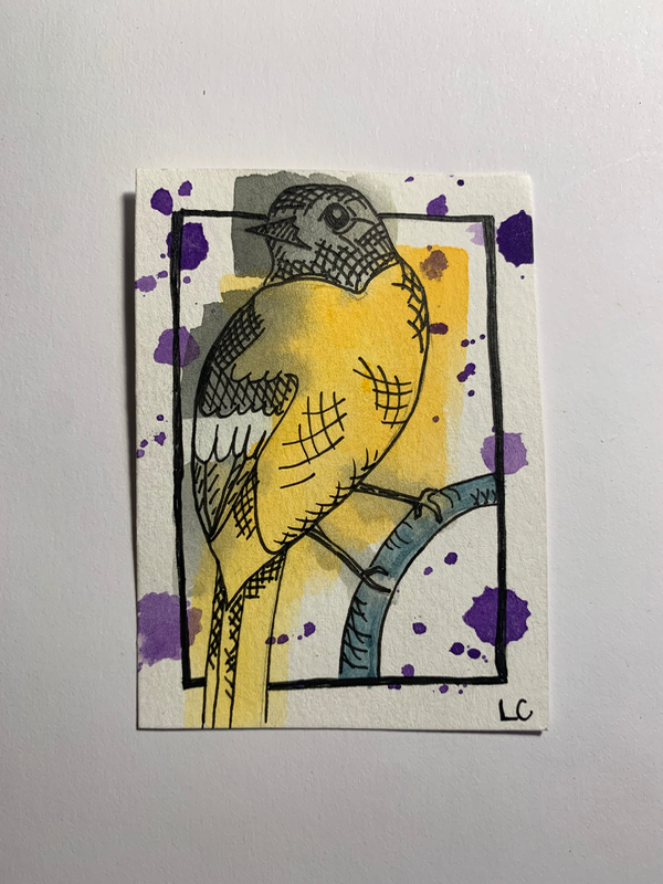 Baltimore Oriole aceo art card