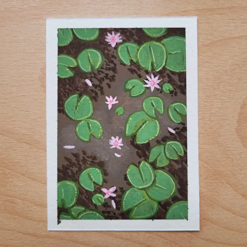 Pink Lily Flowers & Lily Pads aceo art card