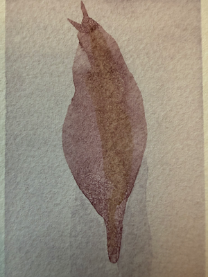 Slow & Steady aceo art card thumbnail 2